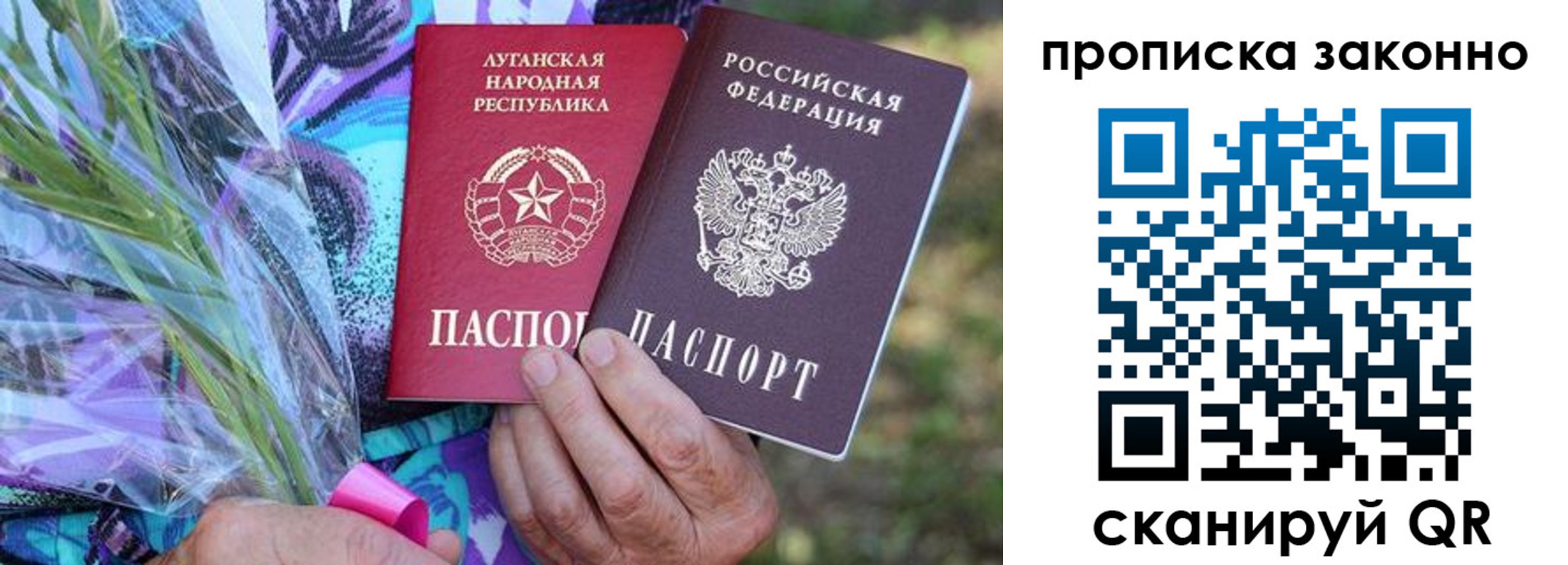 прописка для школы в Пугачёве